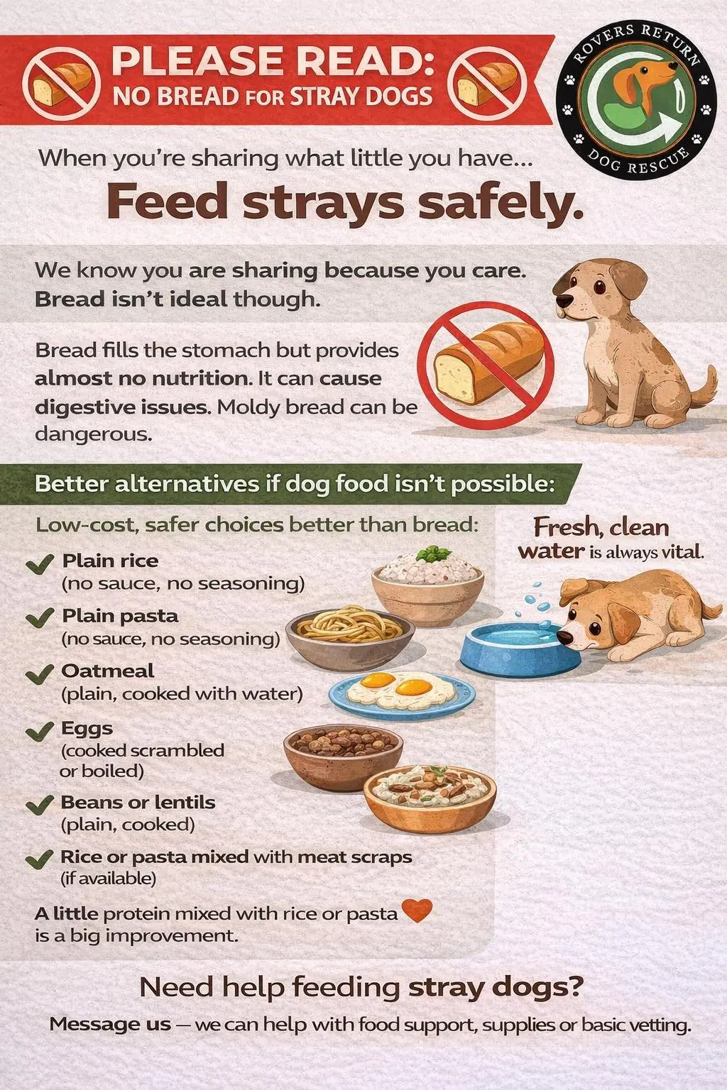 Please Read: No Bread for Stray Dogs — a guide to safely feeding community dogs