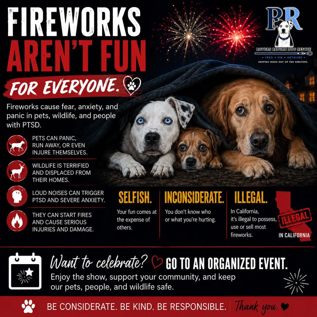 Fireworks safety graphic featuring three rescue dogs hiding under a blanket, with the message Fireworks Aren't Fun for Everyone and safety facts about pets, wildlife, PTSD, and fire risk.
