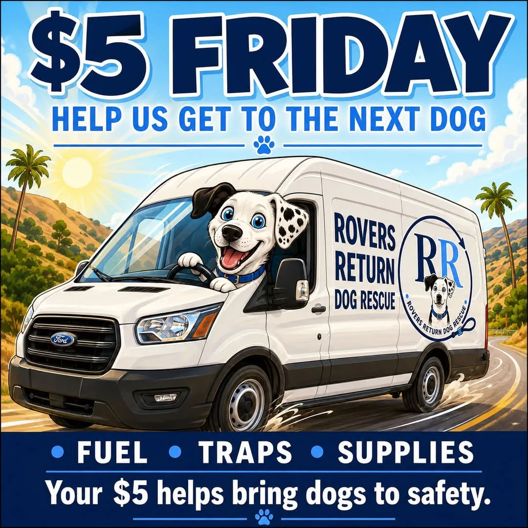 $5 Friday graphic from Rovers Return Dog Rescue: a dog driving a branded rescue van along a hillside road, above the words Fuel, Traps, Supplies and "Your $5 helps bring dogs to safety"