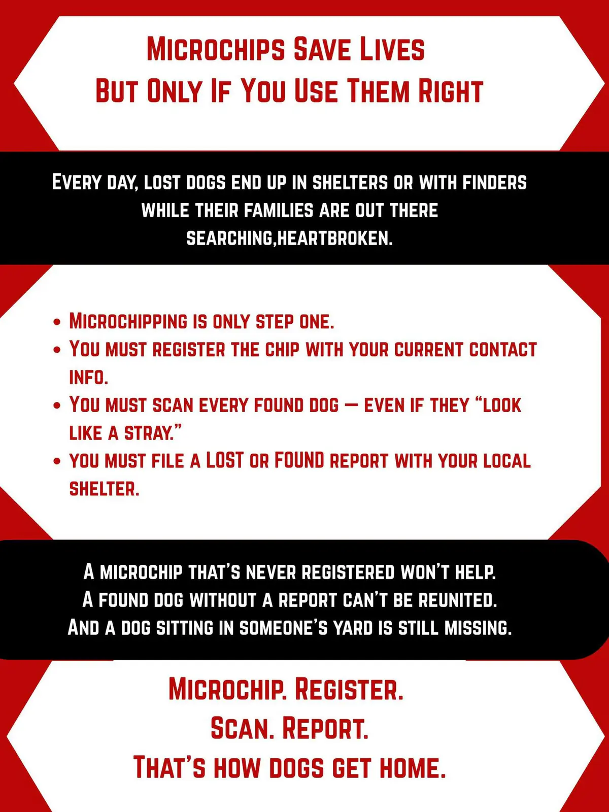 Microchips Save Lives
