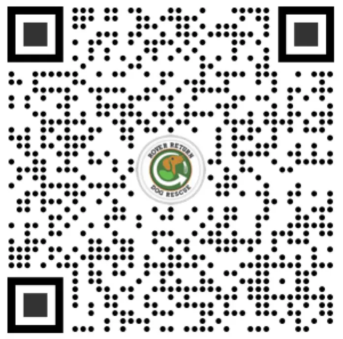 PayPal QR Code
