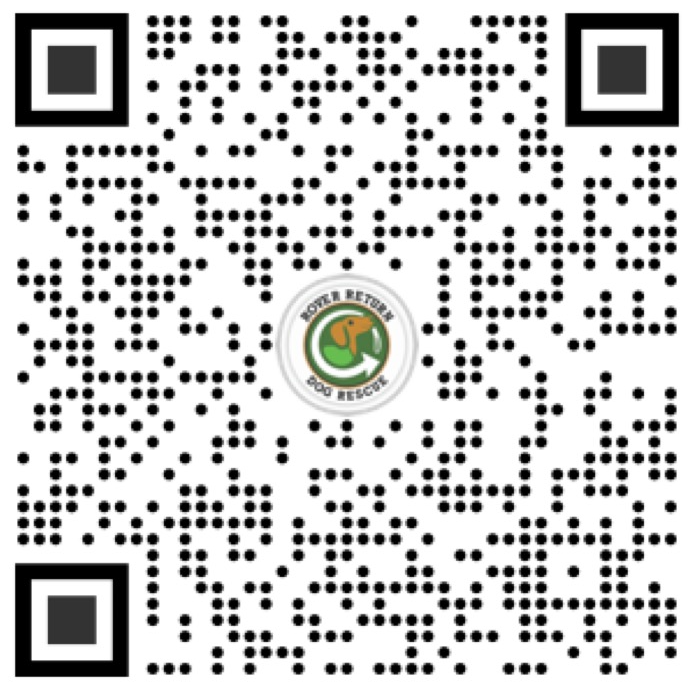PayPal QR Code