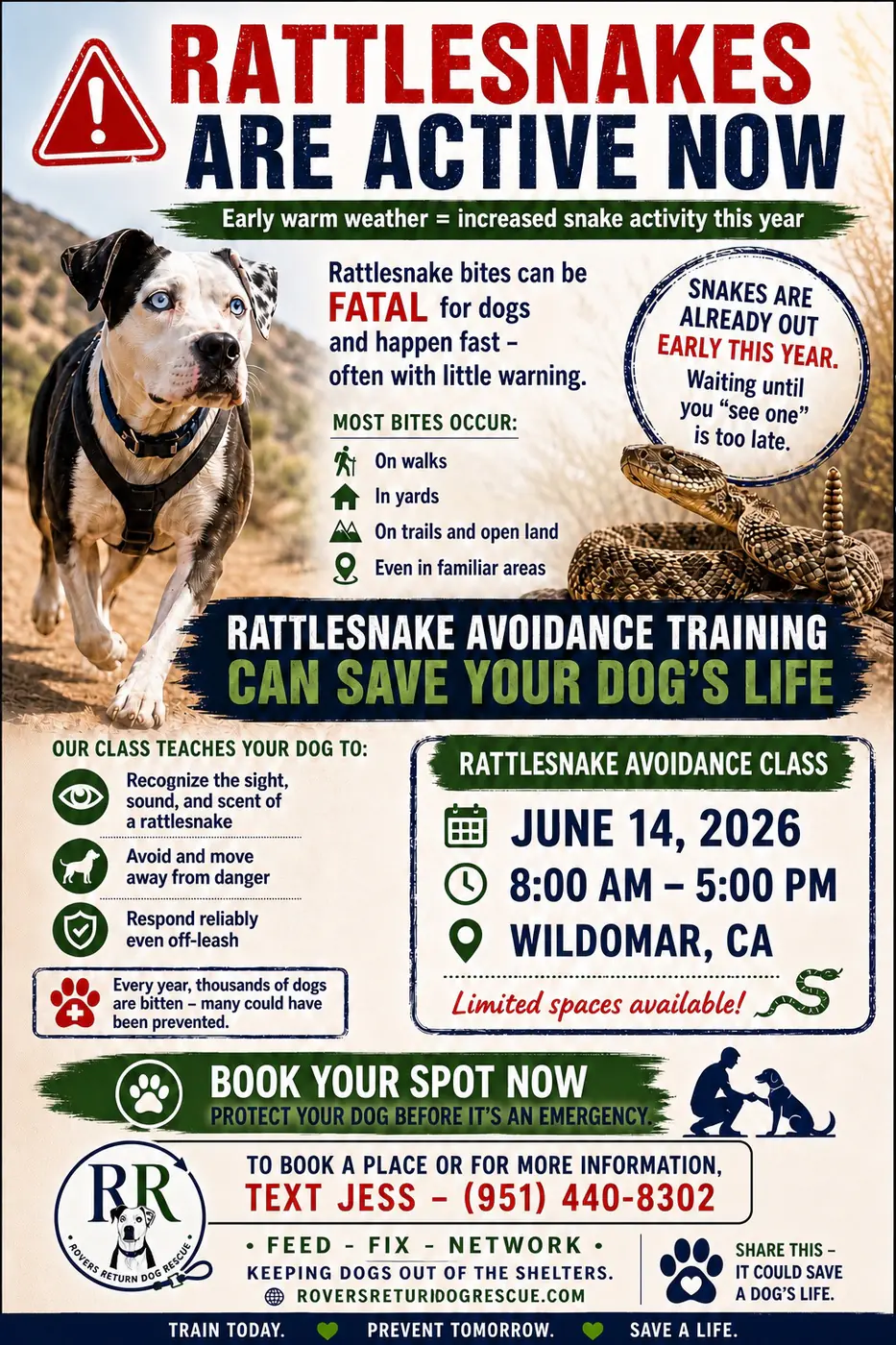 Rattlesnake Aversion Class flyer for June 14, 2026 in Wildomar
