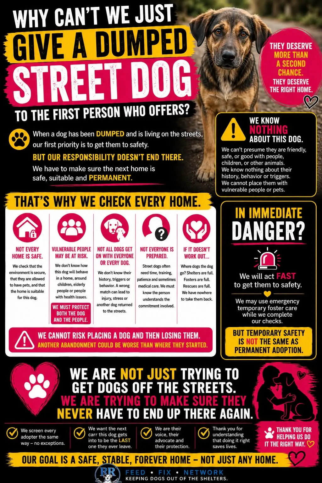 A rescued street dog, with messaging about why Rovers Return screens every adoptive home before placement